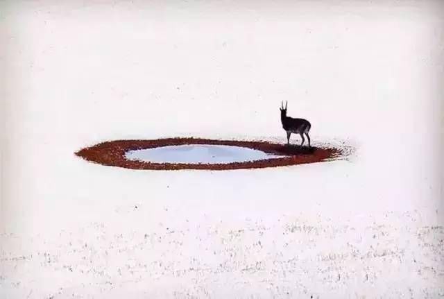 七八月的西藏是属于游客的，冬季的西藏，才是真正的西藏