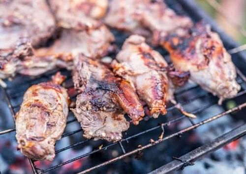  「羊肉串」曾在国内掀起养殖热潮，有人用它冒充羊肉串，如今无