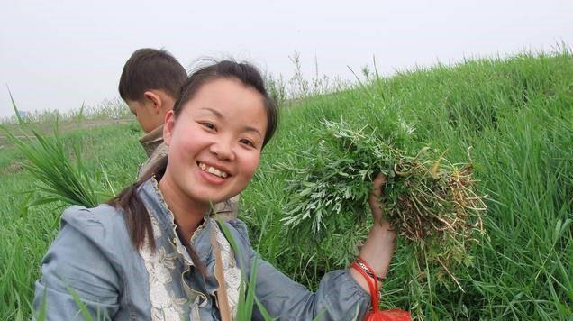  吃香：好消息未来几年这三个行业很吃香，想挣钱的要早做准备