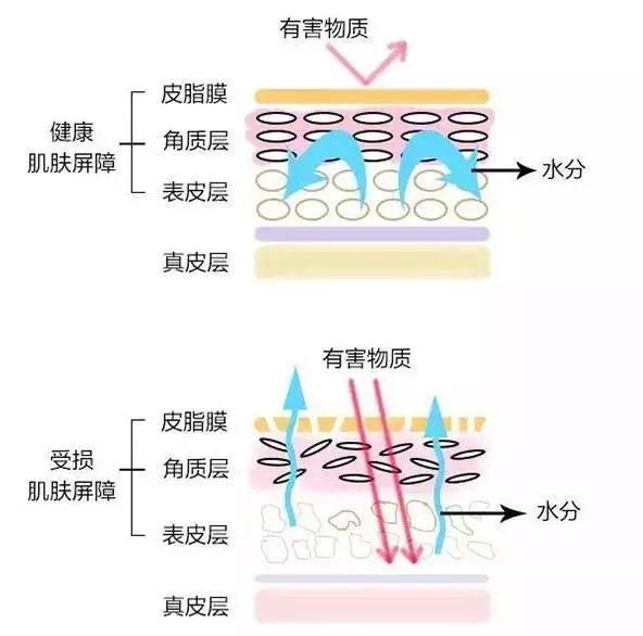 10大护肤谣言,99%的人都中招了!