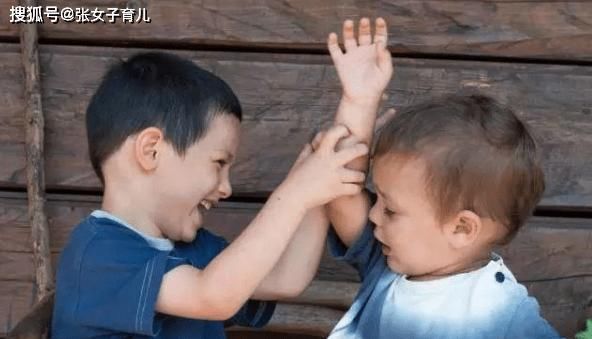  大道理@2岁小宝宝爱打架该怎么办？大道理讲堵塞，打又不舍得，何不试一下这这几个常用招式