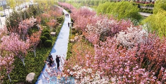 『土坡』“绽放”在春天里！济南小清河土坡河堤变身休闲公园