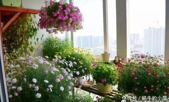  适合|封闭阳台通风差，不适合养花？错！注意这5点秒变花园！