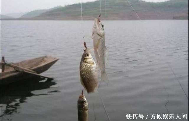  「己钓到的鱼」钓鱼人都有这些特点，不知道你有没有