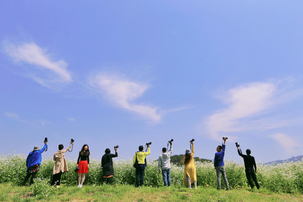 武汉周边游3??丨黄陂赏花和登山徒步，推荐这四个景区必须打卡