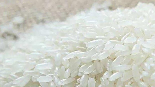  [经验]大米总生虫？米店老板教我个窍门，大米放多久都不生虫，长经验了