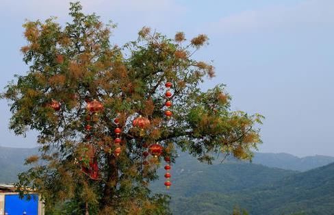 位于河南的神秘村落,住宿实惠门票免费,是你的家乡吗?