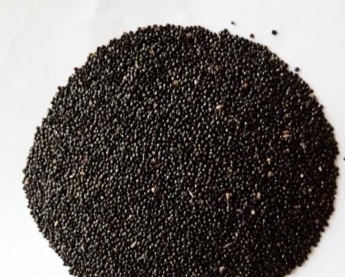  #鲜花#农村此种野草，城里人当鲜花种植，种子可榨成油，好处多多