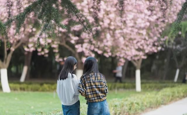  「究竟」云看花，中国美丽高等院校究竟看哪儿？