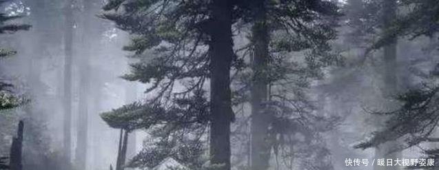  「我国」“黄泉路”出现了在我国被列为禁区，种种怪象科学都无