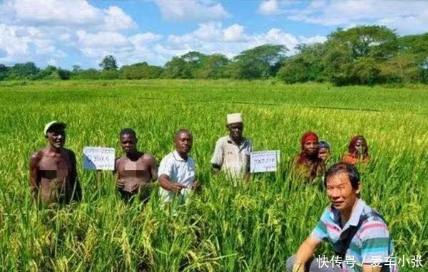  [非洲]非洲最“费解”的现状，把粮食种子当饭吃？还好中国人“