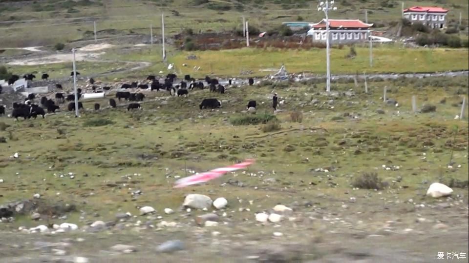 带着年迈父母去西藏，单车自驾奇骏，川进青出，13天7000公里~