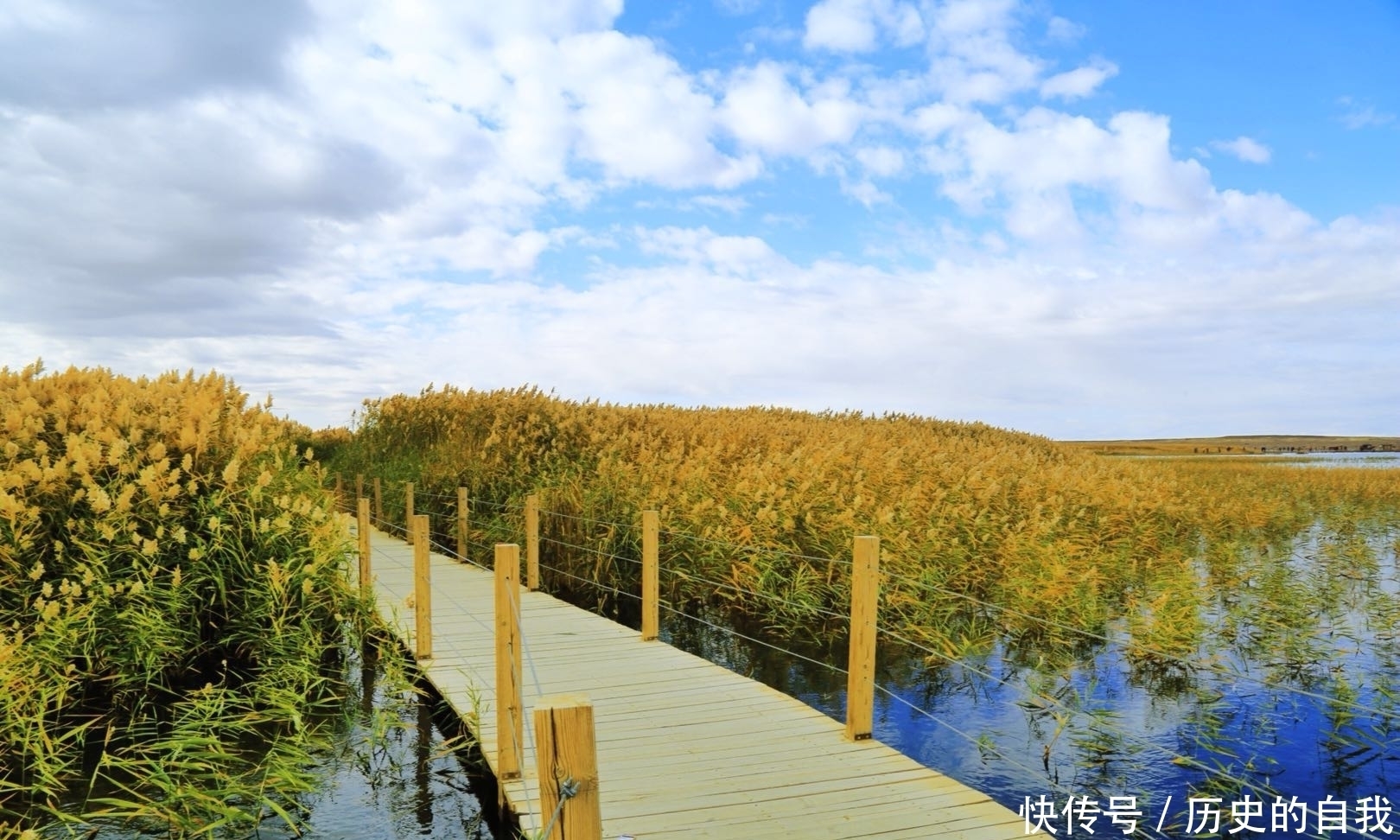  「湖泊」八百里“借水”将荒野变成湖泊，只用十六年，中国再一
