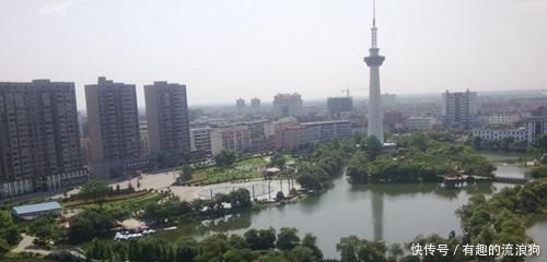  唯一@中国唯一直接以树木命名的城市