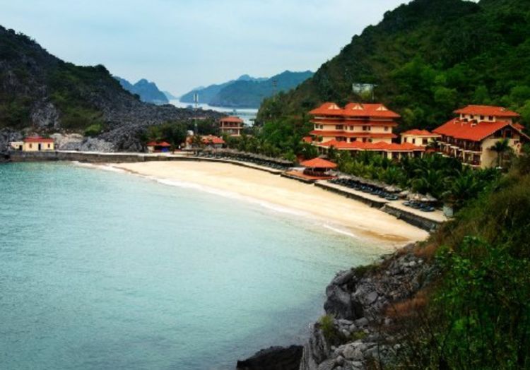 越南最“萧条”特产,曾是游客回国“伴手礼”,如今却滞销积存!