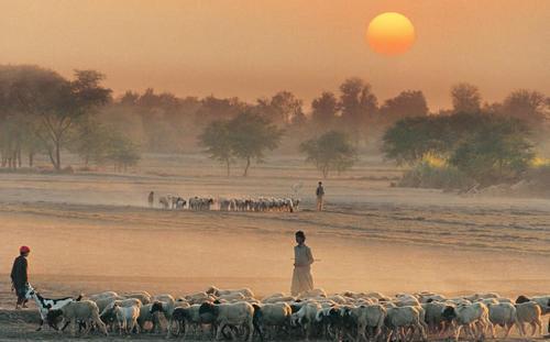 中国小伙娶巴基斯坦姑娘,不用车房和彩礼,但这一要求却让人退缩