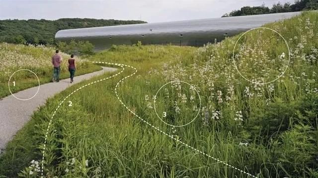  『景观』地被植物配置技巧