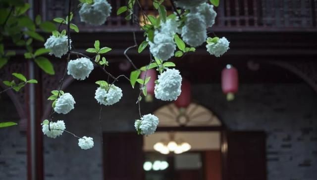 比成都安逸，比苏杭秀美，倦了就去小住几天