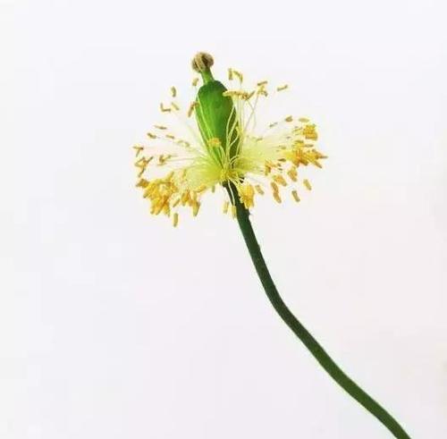 太实用了，用手机拍出好片的10个绝招！