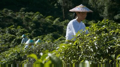  观景■云观景 | 电影里的大好河山——华中、西南篇