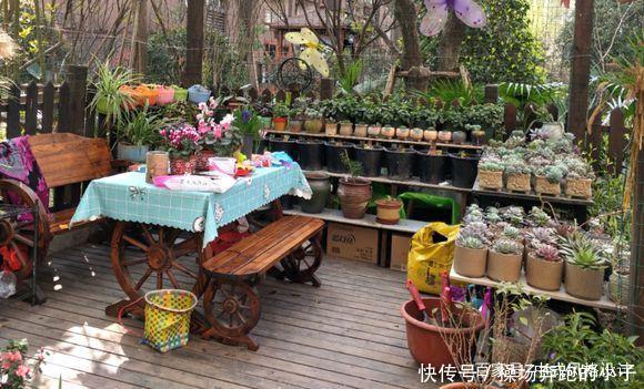  「李小姐还」她将荒芜的后院，改造成最美花园，完工一年后，让人惊艳