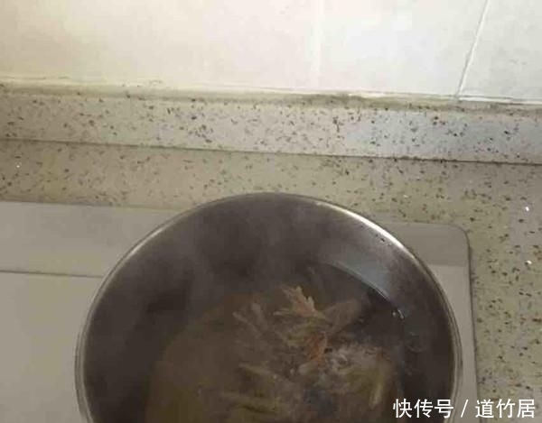 『长寿菜』日本人每天必吃的“长寿菜”,我国产量大却没人吃,含钙比牛奶高