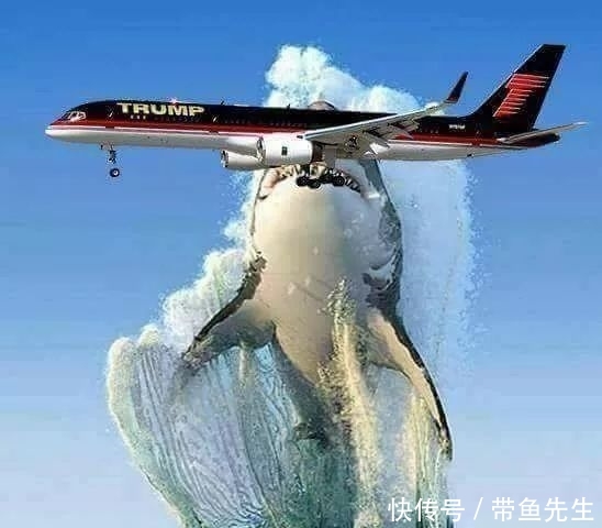  「这辈子」太壮观了，这辈子也难得见一次！一眼万年，美到窒息！