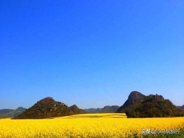 3月这4个适合赏花的旅行地，开启春的盛宴，在春暖花开之际走起