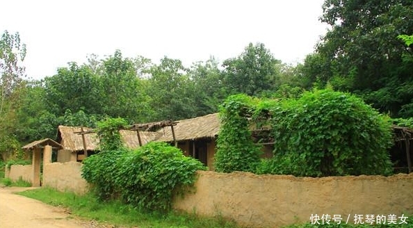 一线明星都带不火的景区，耗费3000万打造，门票60游客嫌贵