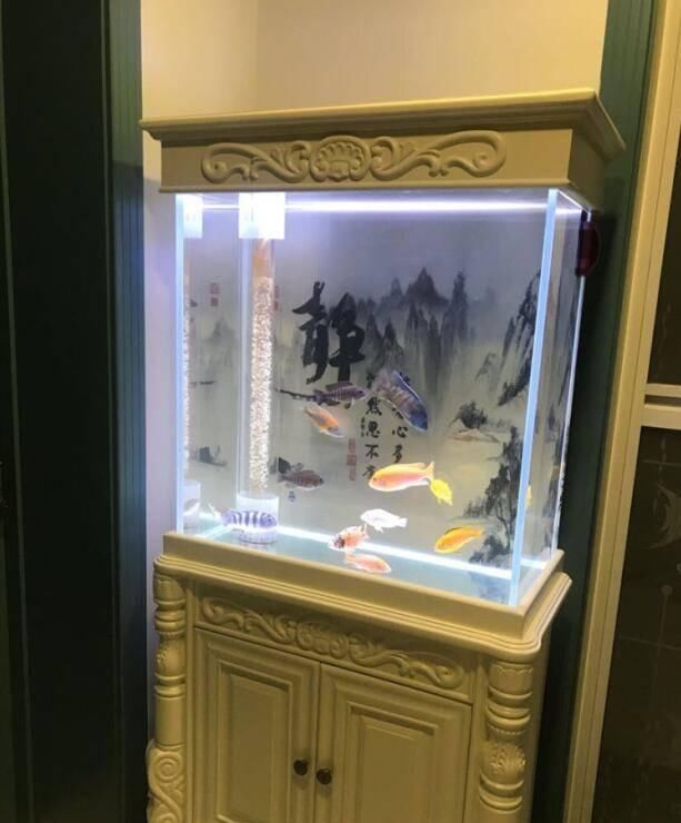  『归来』留学归来的设计师同学，与众不同的装修风格，大家看看能打几分