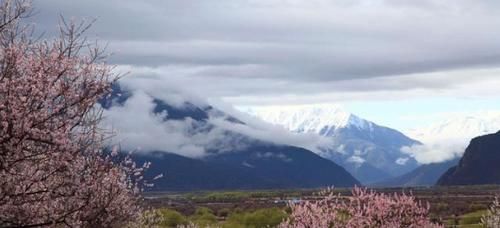 川藏线“穷游女”为何越来越不吃香？司机：拿自己当老板娘