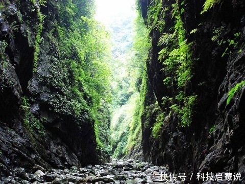 地球十大神秘禁区:第四个是动物坟墓，中国四地上榜!