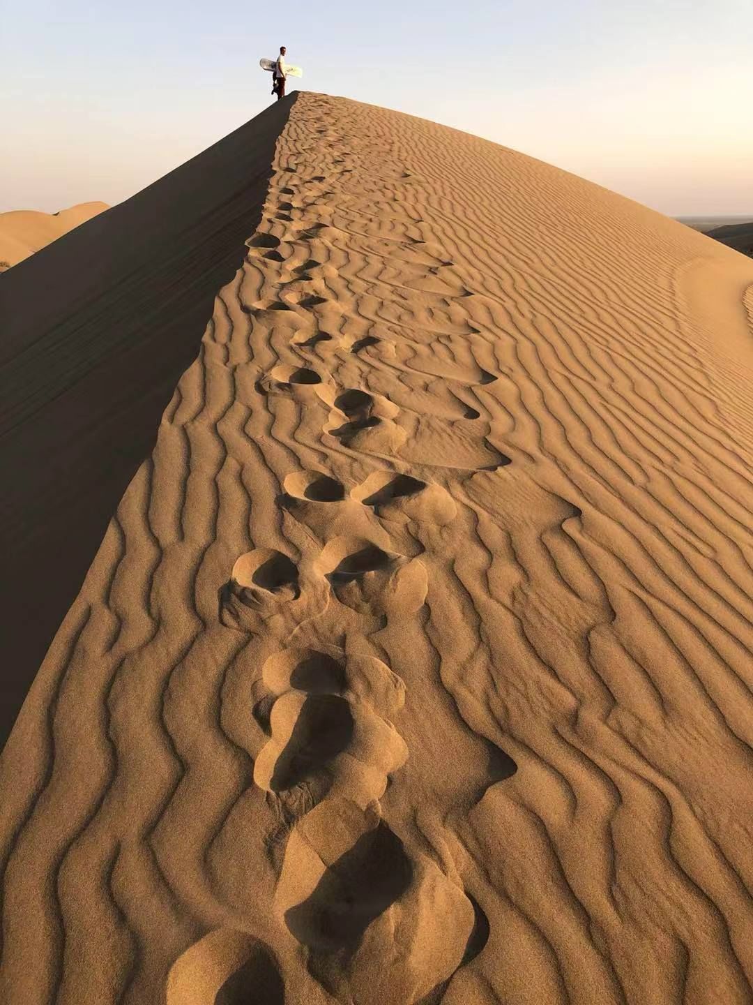 朱宁在中东 | 伊朗尝到免签甜头后多国跟进:中国护照不仅能带你