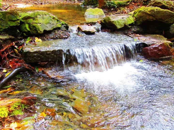 2019杭州最美旅游时间表出炉 承包你一整年的旅行！