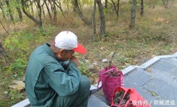 农村人都去山上捡的东西，拿来卖钱收入比打工还高，城里600一