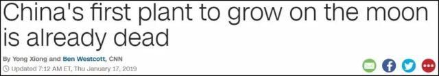 中國在月球栽的嫩芽已經「死了」？別激動，沒那麼嚴重 科技 第1張