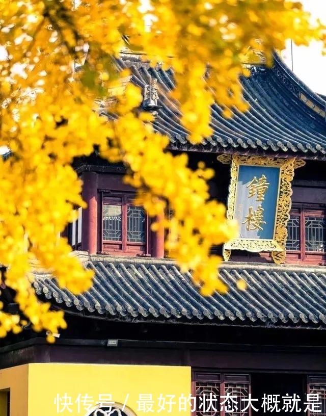佛音袅袅，金黄满地，银杏配古刹，绝美！
