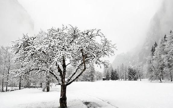  大寒节@小寒到了，俗语“小寒大寒，冻成一团”啥意思？小寒节气