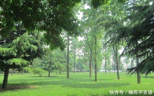 开学了，去青岛最美大学去逛一逛吧，个个堪比5A级景区