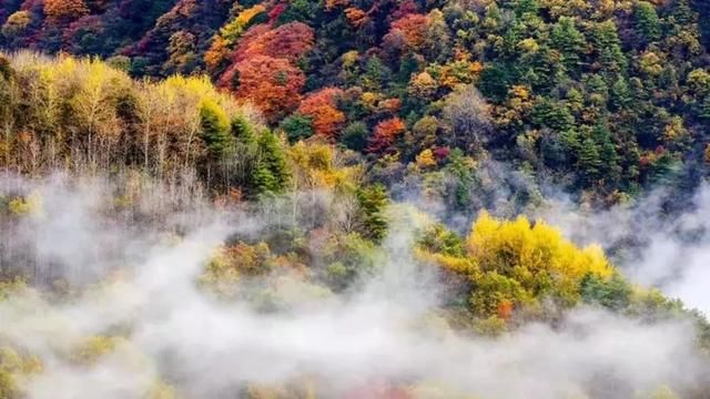 十二月的重庆,不用去远方,这里就有五彩缤纷的天堂人间