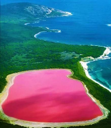 50张令人尖叫的照片，绝对够震撼