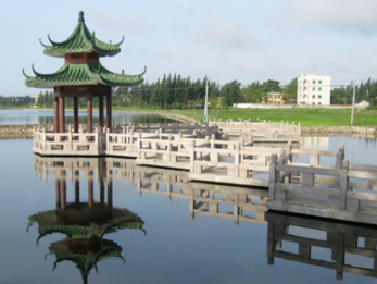 广东这个富人区厉害了，有钱人不要太多，还和温州齐名