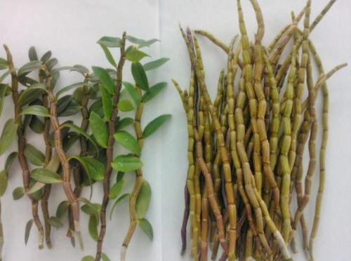 女人多吃此物,减少皱纹,延缓衰老,淡化色斑,40