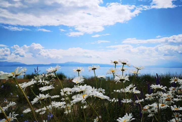 新疆旅行, 偶遇几个老师, 四女一男租车自驾同吃同住近一周