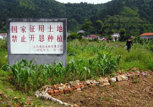  [明年]涉及十亿人，新《土地管理法》明年实施，这些变化你一定