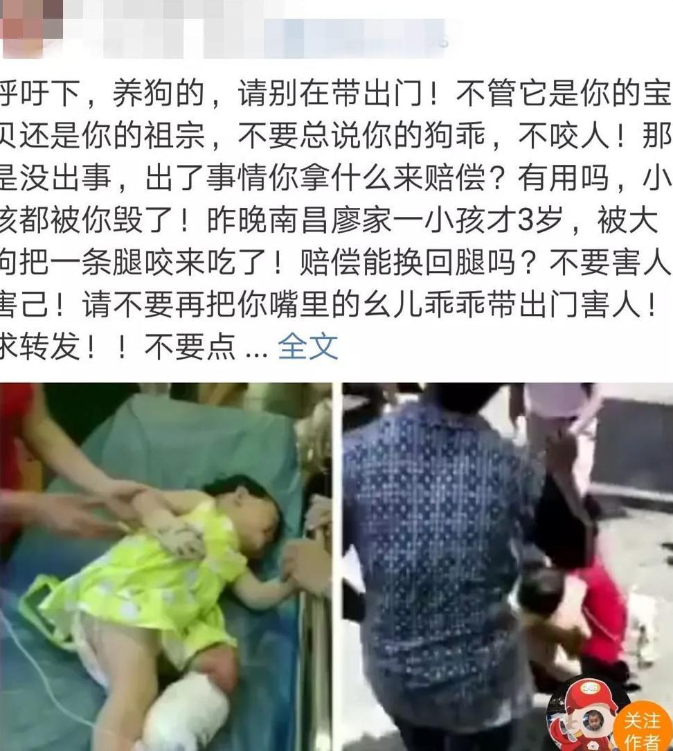 3岁小孩被狗咬掉腿？造谣的人，人血馒头好吃吗？！