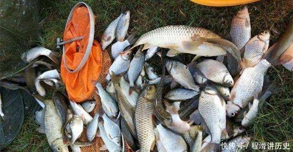  水质：怪不得没鱼咬钩，原来钓点要这样选！5个关键词，这些位置鱼成群！