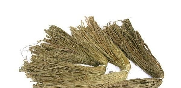 它被称为植物界的软黄金，中国国宝，在农村却用来喂猪，你家有吗