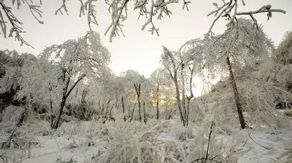 汉中汉江源雪景惹人醉，冬季赏雪不思归