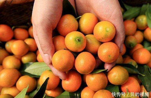  「南方」14万吨的产量不愁卖，北方人都爱吃，农民却后悔种植的